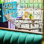 The Marcy Hotel 3*