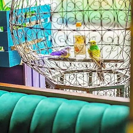Hotel The Marcy 3*